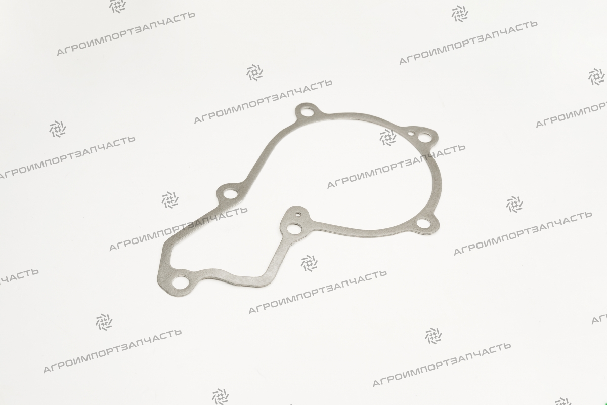 Прокладка R119383 (R119383.01) /R504885